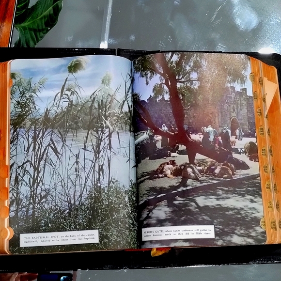 The Holy Bible Golden Book Edition - Picture 5 of 6